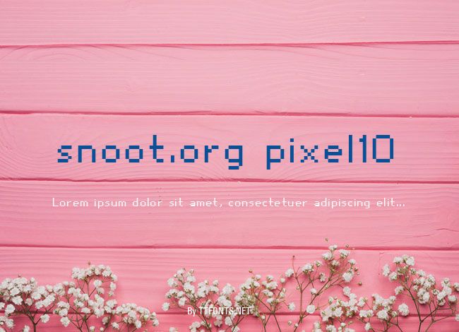snoot.org pixel10 example